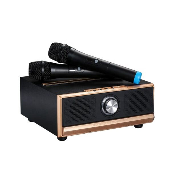 Portables Karaoke TV-System und Lautsprecher mit 2x Bluetooth Mikrophone